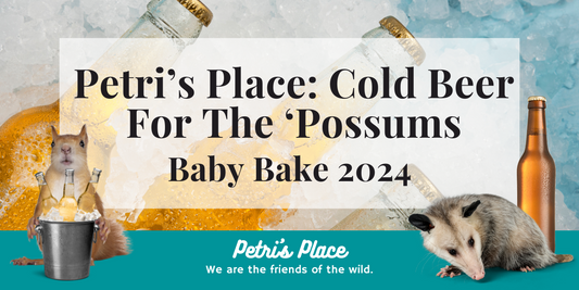 Petri’s Place: Cold Beer For The ‘Possums - Baby Bake 2024