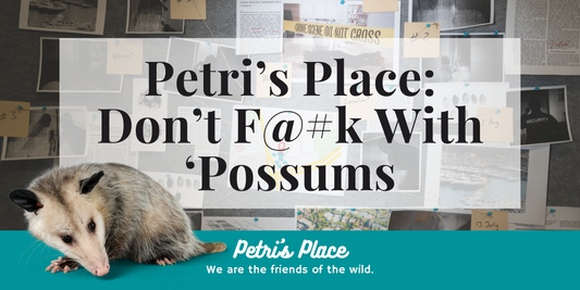 Petri's Place: Don't F@#K With 'Possums