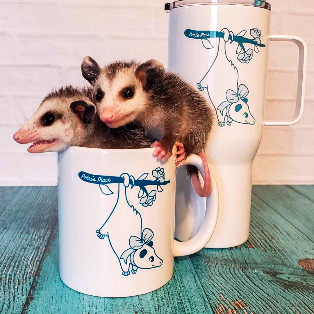 Petri's Place Logo Ceramic Mug (2 sizes)