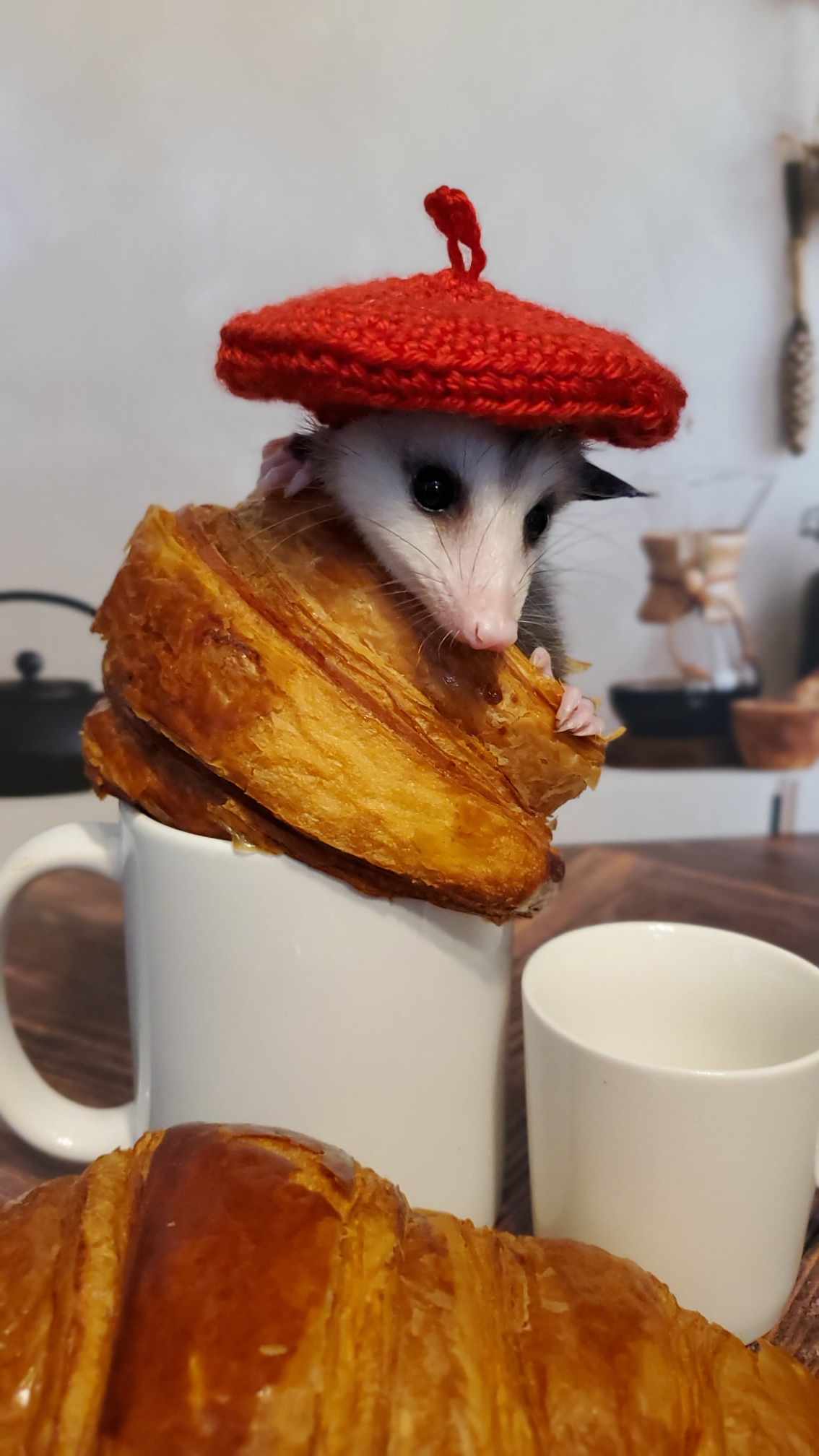 Petri's Place - Pierre In A Beret, In A Croissant, In A Coffee Cup - 25oz Travel Tumbler With Handle