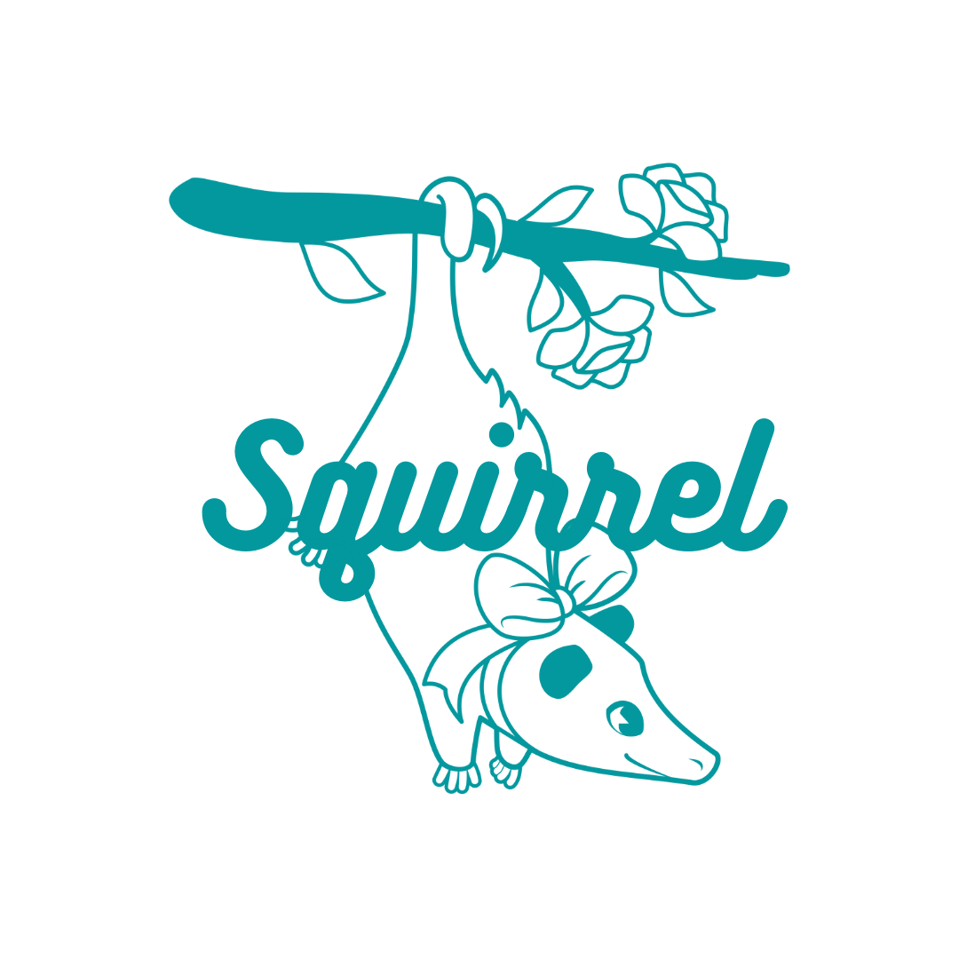 Squirrel Merch