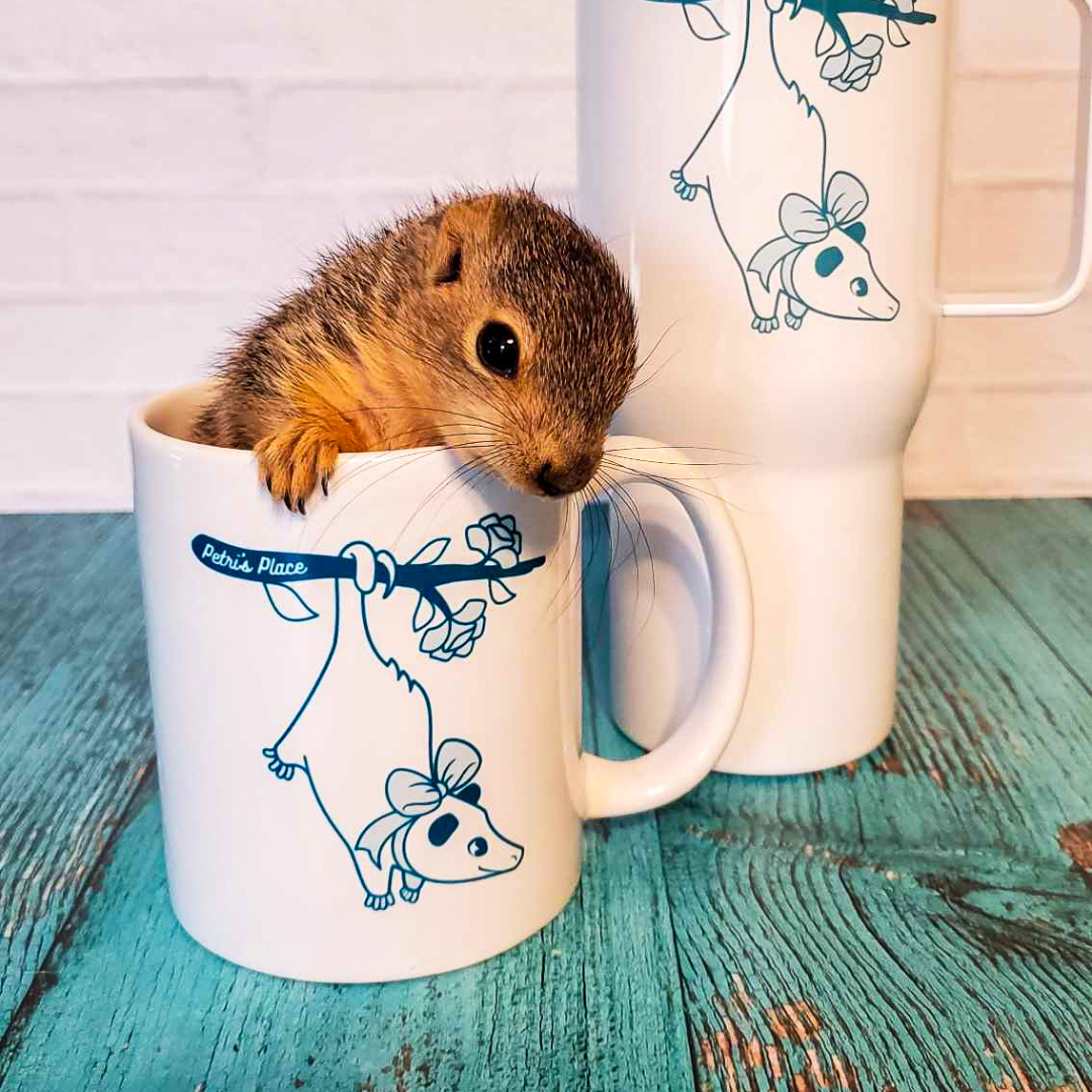 Petri's Place Logo Ceramic Mug (2 sizes)