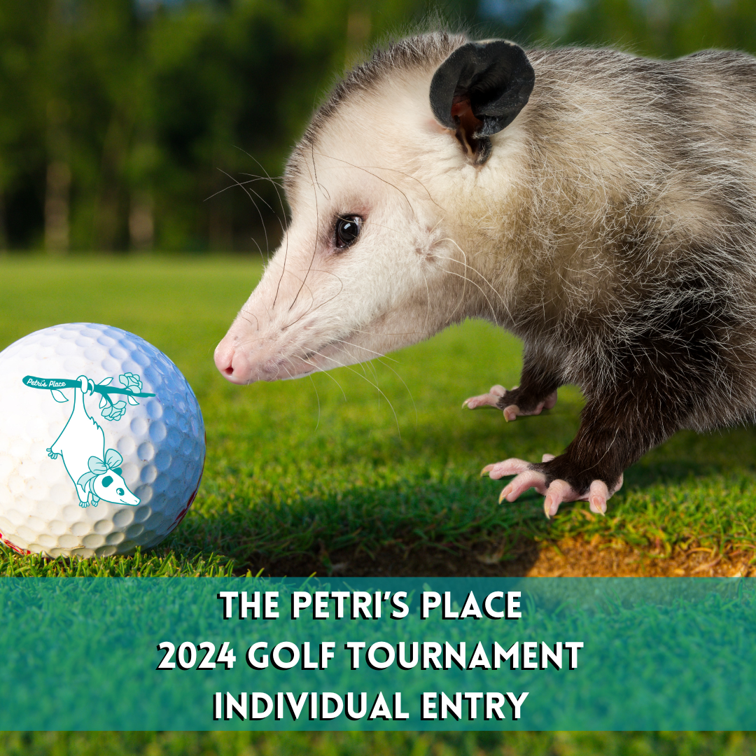 Golf Tournament Individual Entry - COMING SOON