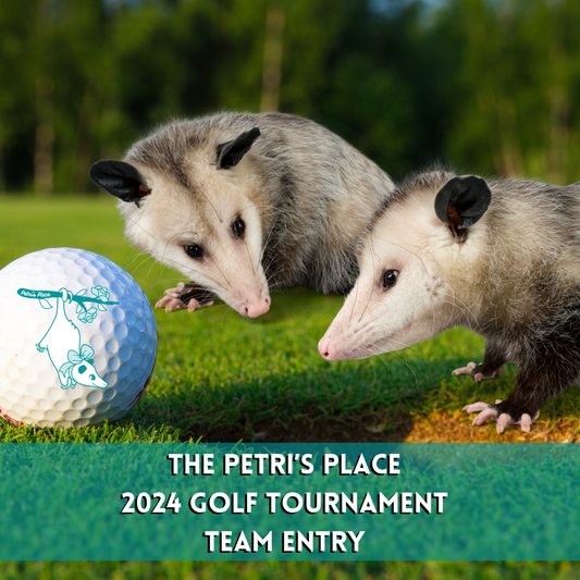 Golf Tournament Team Entry - COMING SOON
